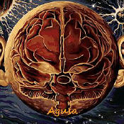Agusa